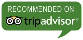 trip-advisor