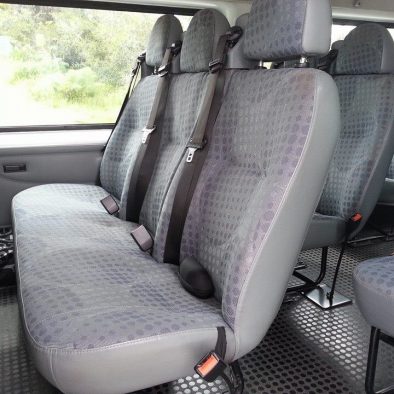buses